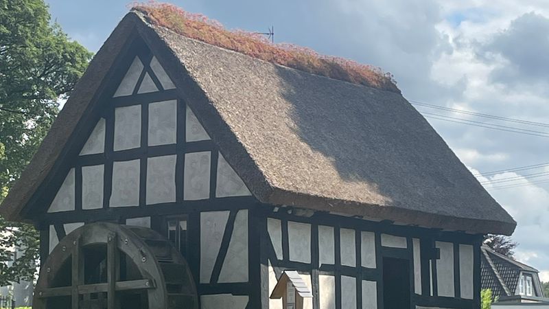 Ein historisches Fachwerkhaus mit Wassermühle, umgeben von grüner Landschaft und bewölktem Himmel.