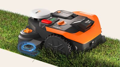 Compo: Innovativer Pflanzenschutz mit der Kraft von Orangenl
