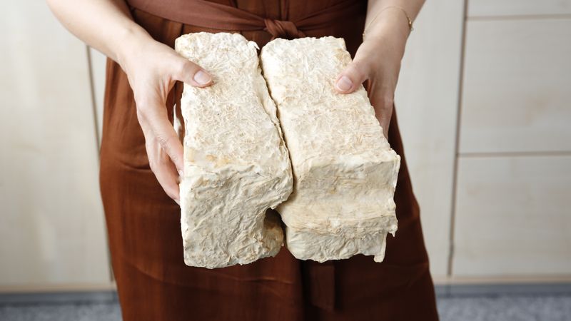 Eine Frau hält einen großen Block Pilzmaterial in den Händen.