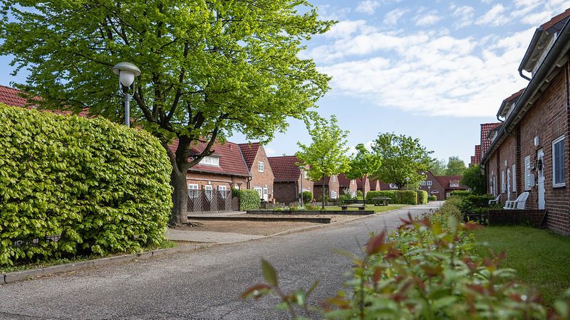 Eine ruhige Wohnstraße mit Backsteinhäusern und grünen Bäumen an einem sonnigen Tag.