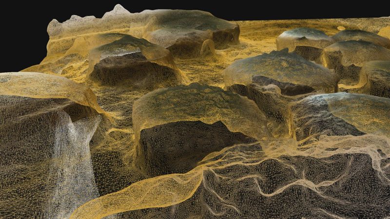 Eine komplexe 3D-Darstellung eines Schimmelpilz-Nährbodens mit netzartigen Strukturen.