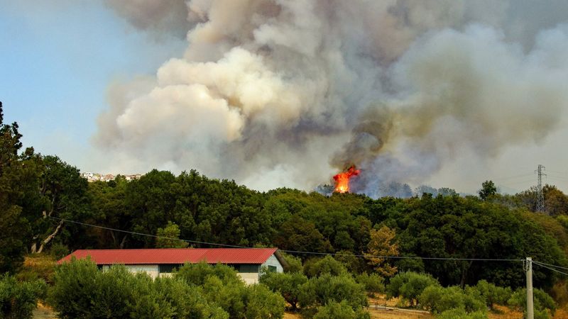 Ein Waldbrand in einem bewaldeten Gebiet mit großen Rauchwolken, die in den Himmel aufsteigen. Im Vordergrund ist ein Gebäude mit rotem Dach zu sehen.