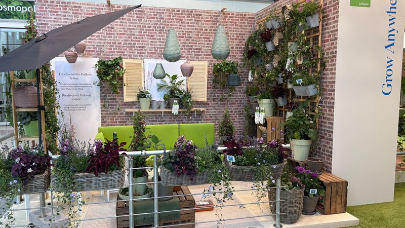 Hauptmotiv: ein dekorierter Balkon-Garten auf einem Messestand mit zahlreichen Pflanzen, hängenden Pflanzgefäßen und Blumenkörben vor einer Ziegelwand, ergänzt durch eine grüne Sitzbank und vertikale Pflanzmodule – präsentiert als Biodiversitäts-Balkon.