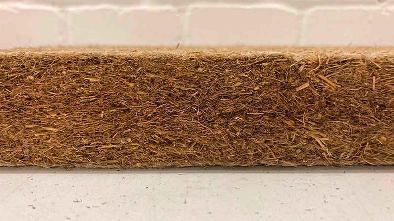 Dämmstoffplatten aus Paludi-Biomasse