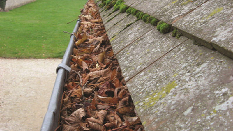 Zambelli DEW_Reperaturset Dachentwässerung_06