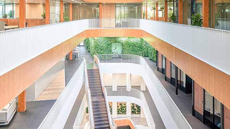 Innen im Edge Olympic gibt es viel Licht und viel Holz (Foto: Edge Technologies/Ossip)