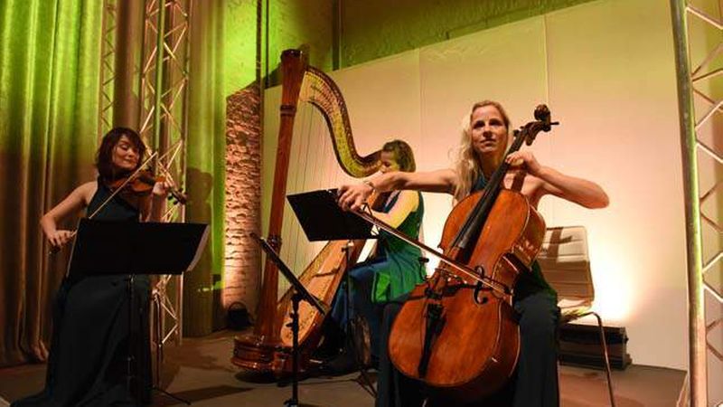 (Foto: Steffen Hauser)