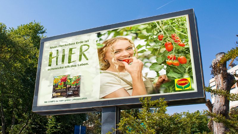 biologisches saatgut aus dem eigenen garten BIO Saatgut Wildblumenmischung Trockenwiesenkräuter – Biogartenladen main image 0