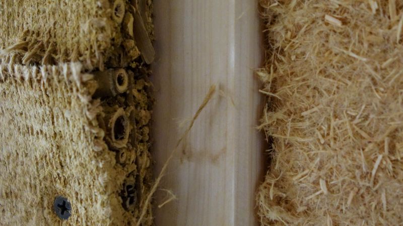 Detail-Staenderwand-Lehm-Holz-Holzdaemmung Foto: Fabeck Architectes