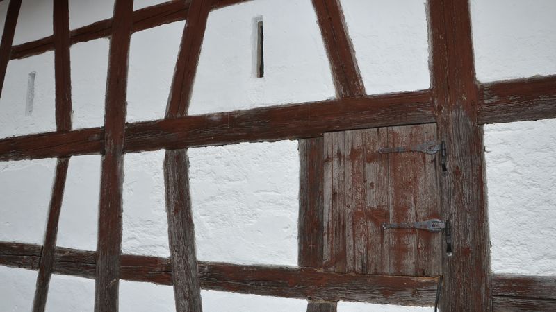 Foto: bmH bauen mit Holz