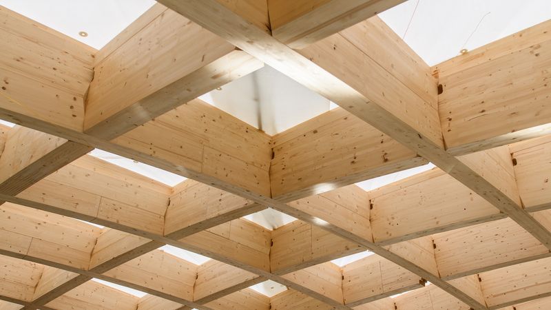 Blick auf die aussergewöhnliche GitterschalenkonstruktionFoto: Blumer-Lehmann AG