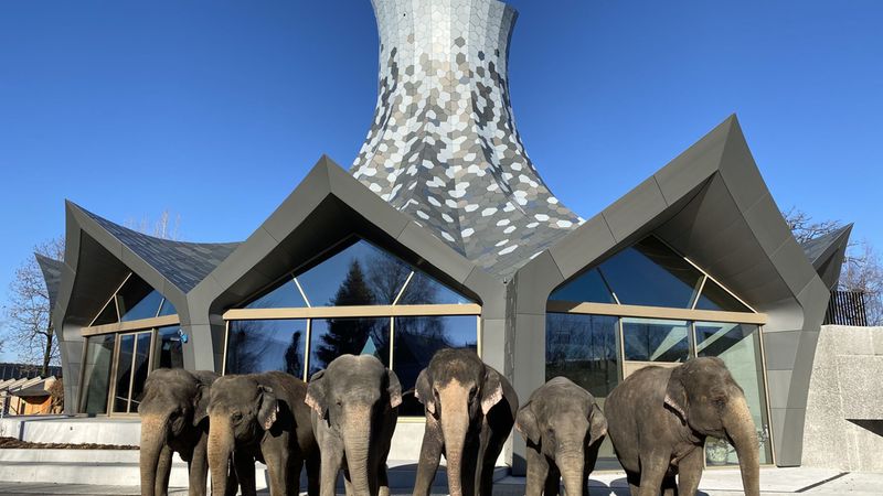 Zauberhut Elefanten. Foto: Knies Kinderzoo