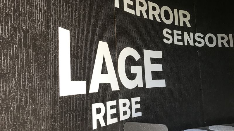 Im Inneren des Vinomax beeindruckt die ungewöhnliche Dachkonstruktion. Bilder: Norbord