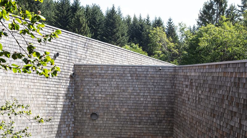 Nationalparkzentrums Ruhestein. Foto: Atelier Dirk Altenkirch