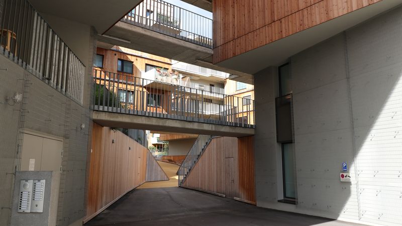 Foto: bmH bauen mit Holz