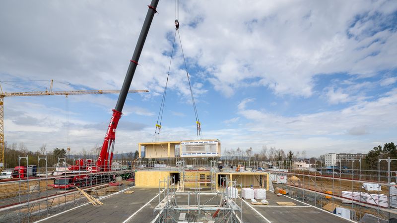 Großbaustelle Schulneubau in Holz-Modulbauweise. Erne AG Holzbau | Raumwerk & Spreen Architekten Arbeitsgemeinschaft | Foto: Thomas Koculak