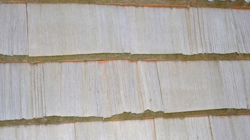 Schwarzwaldhaus Gütenbach. Foto: bmH bauen mit Holz