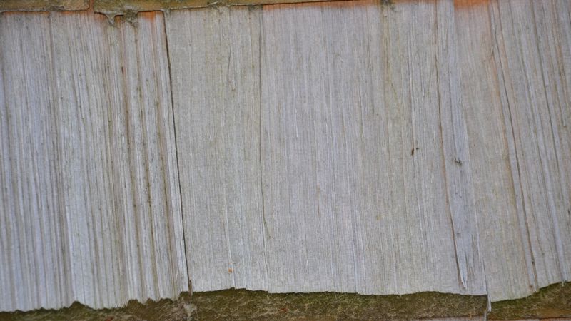 Schwarzwaldhaus Gütenbach. Foto: bmH bauen mit Holz