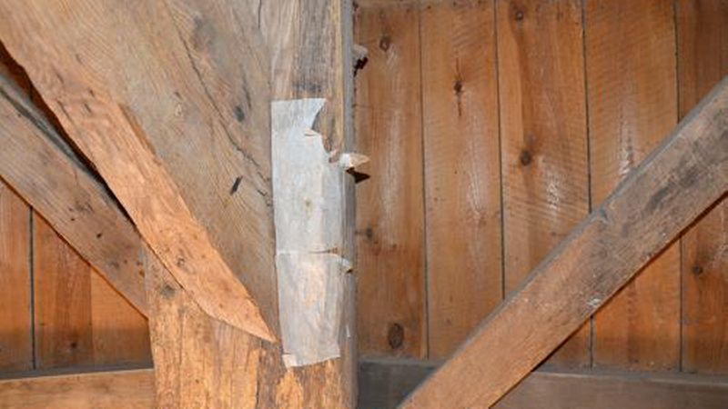 Insekten im Holz: Beim Hausbockkäfer lässt sich zum Beispiel mittels eines Papierstreifens prüfen, ob der Befall noch aktiv ist. Ist der Streifen nach einer Zeit durchlöchert, sind lebende Larven vorhanden. (Bild: DER ZIMMERMANN)