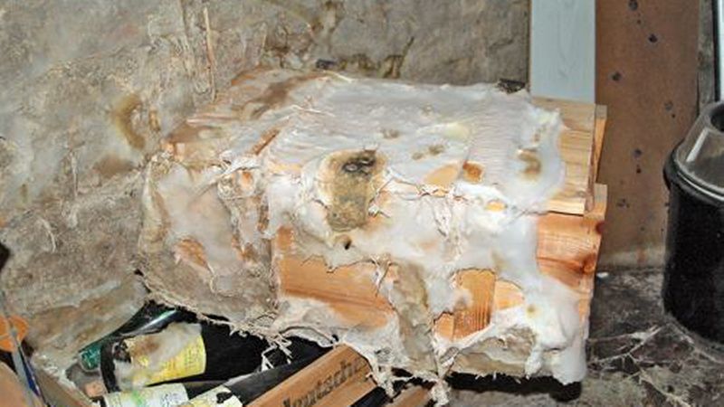 Nicht appetitlich: Ein echter Hausschwamm. Wer so etwas im Dachstuhl entdeckt, sollte in jedem Fall einen Fachmann ranlassen! (Bild: Otto Richter GmbH)