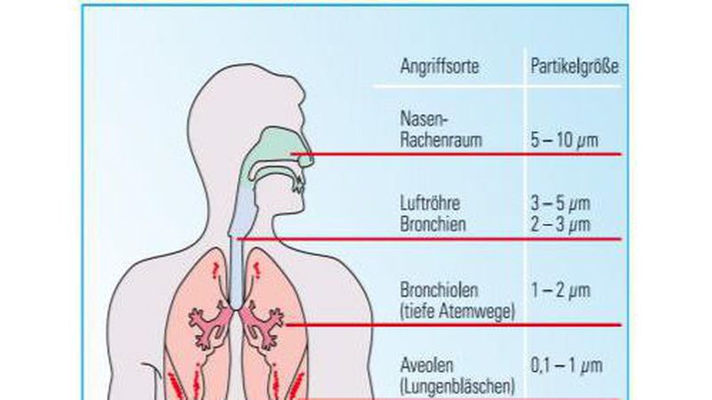 Insbesondere sehr feine Stäube können tief in die Lunge gelangen und dort im schlimmsten Fall Krebs auslösen. (Abb.: BG BAU)