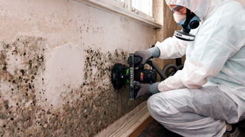 Ein nicht unwesentlicher Marktanteil entfällt in der Bausanierung auf die Schimmelsanierung. Auch wenn bei einer Schimmelsanierung nur ein geringer Eingriff in die Bausubstanz erfolgt, schimmelt es in Altbauten doch so häufig, dass die Schimmelsanierung ein lohnendes Geschäftsfeld ist. (Bild: Otto Richter GmbH – Feuchteklinik)