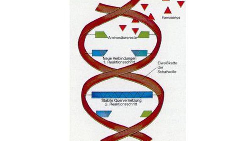 Der Reaktionsmechanismus, auf dem die greenline-Platten basieren, wurde bereits 1948 geklärt. (Bild: Fermacell)
