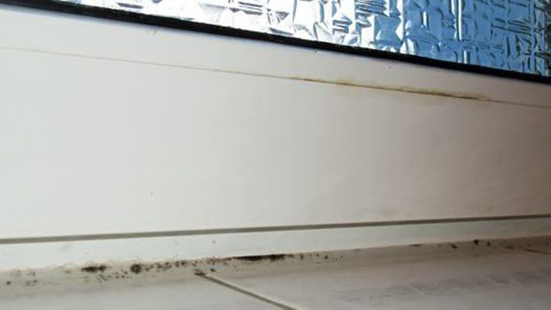 Schimmel im Silikon (und in Fliesenfugen) ist nicht selten, besonders dann nicht, wenn das Bad nur spärlich gelüftet wird. Abdichtungsmaßnahmen sind daher regelmäßig zu überprüfen und gegeben falls zu erneuern. (Bild: AUSBAUPRAXIS/M.Hientz)