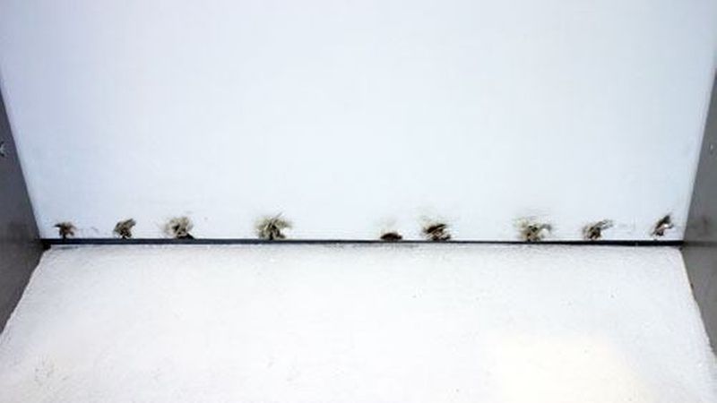 Die Kürzung ist deutlich zu erkennen. Am unteren Ende des Türblattes wurde einU-Winkel fixiert, um den Türkasten nach unten zu verschließen. Foto: Mink