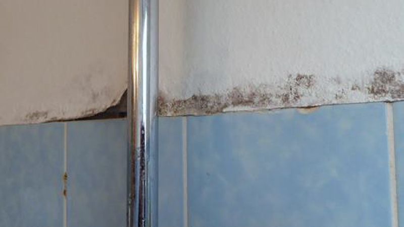 Schimmel hinter der Dusche: Hier muss nicht lang geforscht werden. Langfristig sollte man den Fliesenspiegel bis an die Decke hochziehen. (Bild: AUSBAUPRAXIS/P. John)