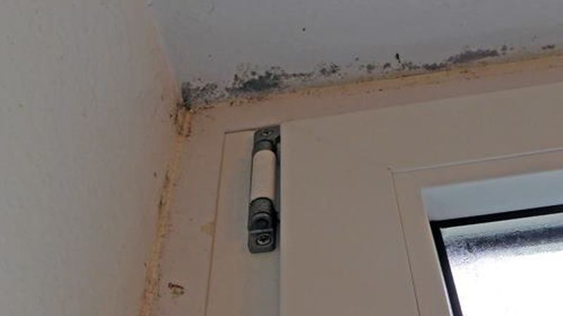 Ein typisches Bild, die Wärmebrücke am Fenster: Über dem Fenster wird die Wand sehr kalt, wenn es gekippt wird. Feuchtigkeit schlägt sich nieder, der Schimmel sprießt. (Bild: AUSBAUPRAXIS/P. John)