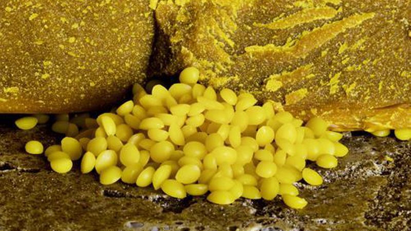 Carnaubawachs (Bild: Auro AG)