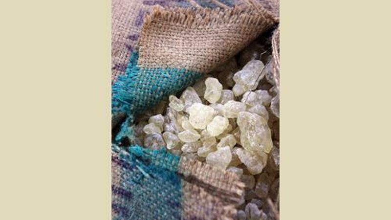 Dammar (Bild: Auro AG)