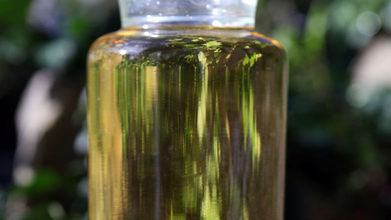 Leinöl (Bild: Auro AG)