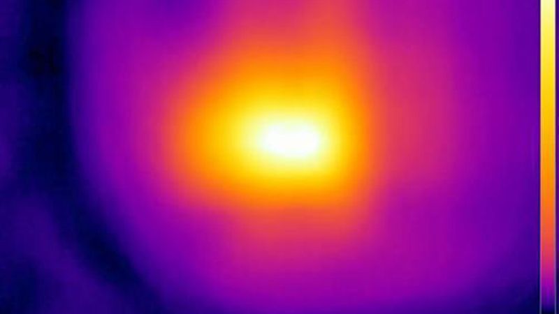 Das Bild ist nicht fokussiert. Es ist nur eine diffuse „Wärmewolke” erkennbar. (Bild: Flir Systems)