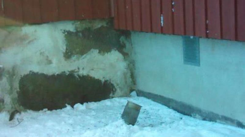 Der gleiche Bereich im Foto. (Bild: Flir Systems)