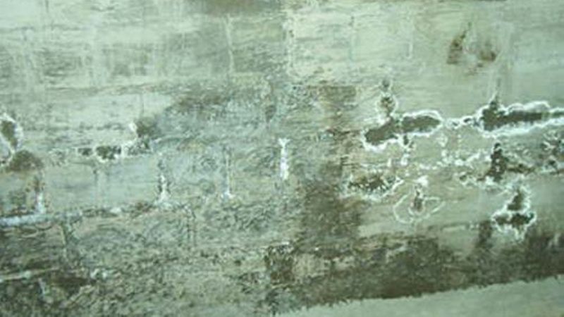 Durch Kristallisations- und Lösungsprozesse schädigen Salze, die sich über eindringende Feuchtigkeit sammeln, die Bausubstanz.(Bild: Fritz Flink)