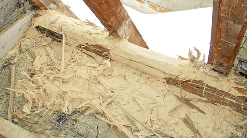 Abb. 4b: Schäden an Mittelpfette