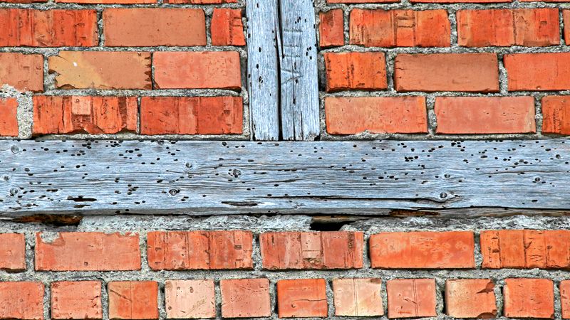 Abb. 4d: Ausschlupflöcher an bewittertem Sichtfachwerk