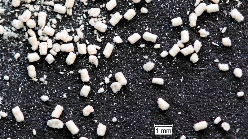 Abb. 10: Kot mit Nagsel.