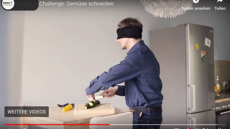 Bird Box Challenge