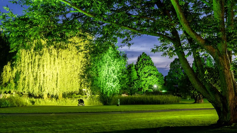 Dehner Garten-Center lädt zur langen Einkaufsnacht in Rain