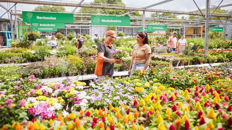 Globus Baumarkt mit leichtem Umsatzrckgang im Geschftsjahr 2024/2025